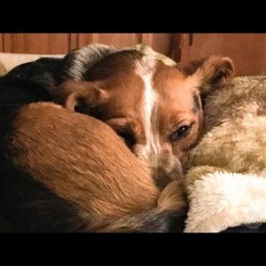 Meet your Posher, Kurt